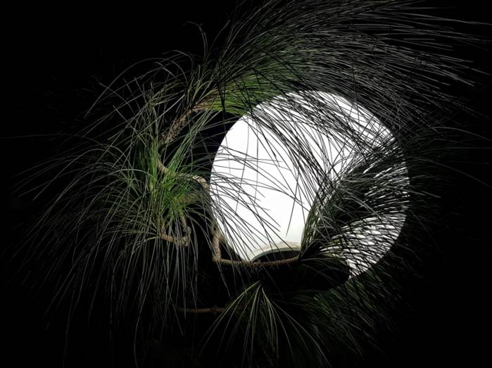 PIN e websotorie 1080x1920 (1)